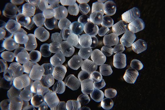 Transparent Translucent TPE Granules Super Soft TPE Pellet SEBS Thermoplastic Elastomer